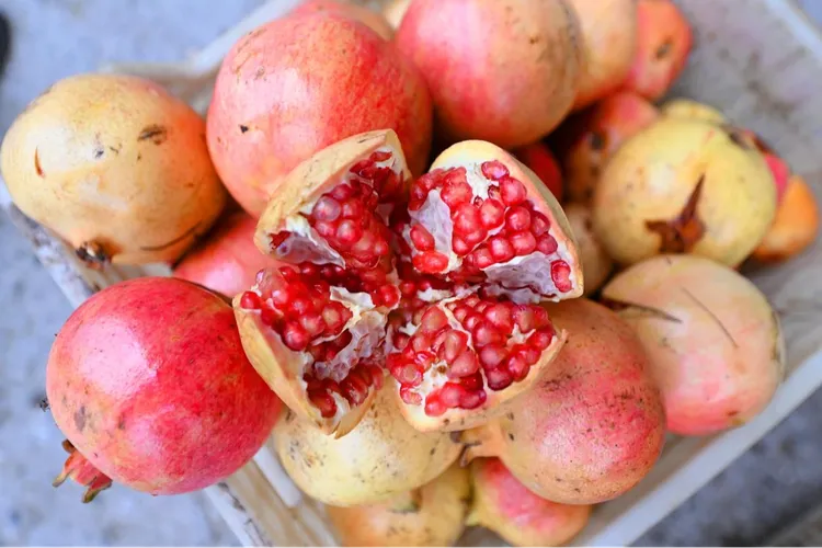 Mersin’de üreticilere nar taneleme ve sıkma makinesi desteği